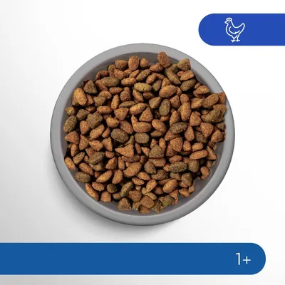 Croquettes dans une gamelle grise, pictogramme poulet en haut à droite, indication d’âge 1+ en bas à droite.