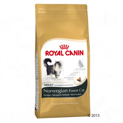 Saco de pienso Royal Canin Norwegian Forest Cat Adult para gatos, con imagen de un gato bosque de Noruega y texto en inglés sobre salud del pelaje, articulaciones y reducción de bolas de pelo.