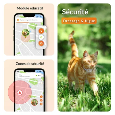 Weenect Tracker GPS XS pour animaux de compagnie pour chat Weenect Tracker GPS XS pour animaux de compagnie pour chat