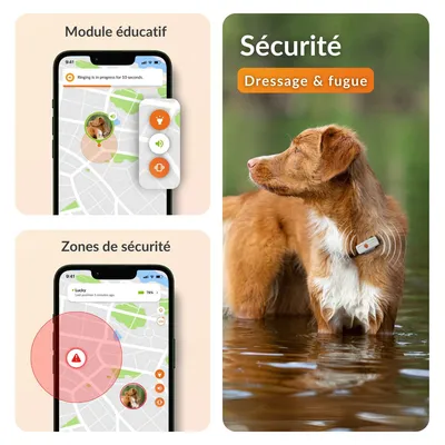 Weenect animal de compagnie GPS Tracker XS pour chien