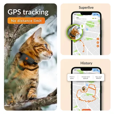 Weenect Pet XS GPS nyomkövető macskáknak