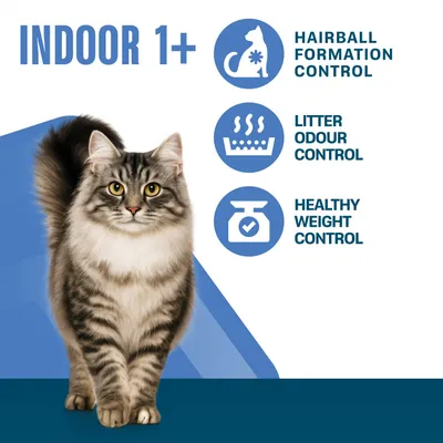 Perfect Fit Indoor 1+ Rich in Chicken - 7kg Perfect Fit Indoor 1+ Rich in Chicken - 7kg