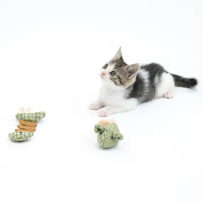 Small kitten lying beside two green fabric toys on a white background, demonstrating use of the pet toy products.