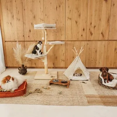 Modern Living Glasgow комплект играчки с котешка мента, мишка и рибена кост