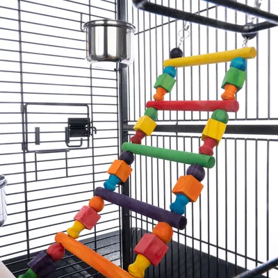 Échelle en bois multicolore suspendue à l’intérieur d’une cage métallique, avec gamelle en acier inoxydable fixée sur le côté.