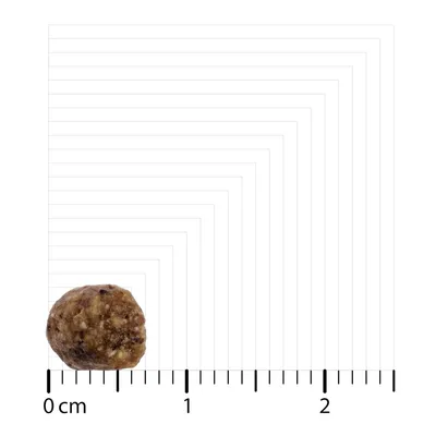 Gros-plan al unei gustări rotunde cu scară, diametru aproximativ 1,5 cm.