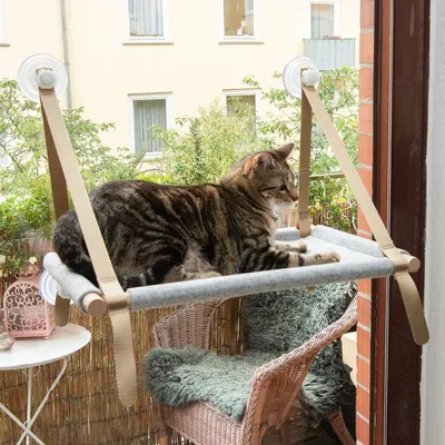 Fönsterbädd med sugproppar och tygöverdrag, monterad på en glasruta. Katt ligger på bädden. Passar för fönster eller släta ytor.