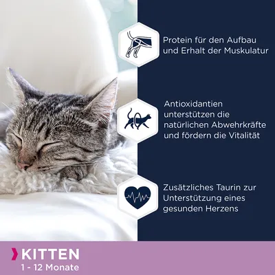 Kitten 1-12 Monate. Protein für den Aufbau und Erhalt der Muskulatur, Antioxidantien unterstützen Abwehrkräfte und Vitalität, zusätzliches Taurin für ein gesundes Herz.