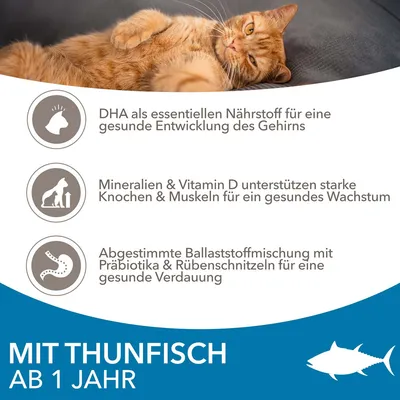 Mit Thunfisch ab 1 Jahr. DHA für gesunde Gehirnentwicklung, Mineralien & Vitamin D für starke Knochen und Muskeln, Ballaststoffe mit Präbiotika für gesunde Verdauung.