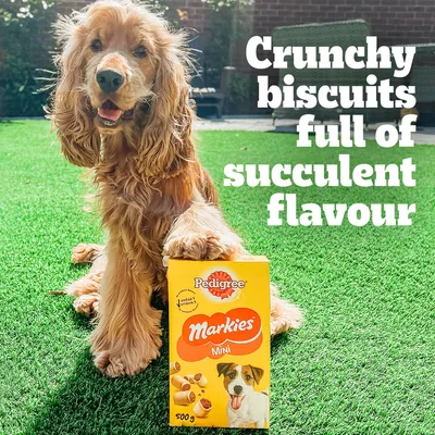 Pedigree Markies Mini 500 g -koiranherkkupakkaus, koira vieressä. Teksti englanniksi: Crunchy biscuits full of succulent flavour.