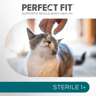 PERFECT FIT, SUPPORTS WHOLE BODY HEALTH, STERILE 1+ visibles sur l’image avec un chat adulte caressé. Texte en anglais sauf 'STERILE 1+'.