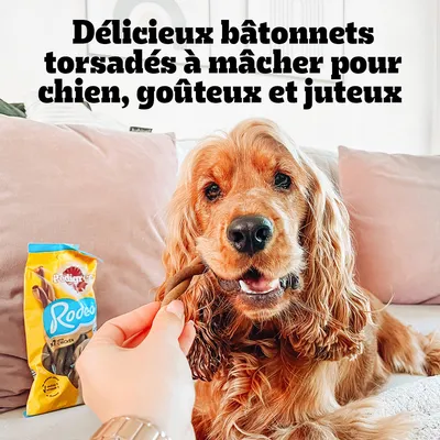 Texte : Délicieux bâtonnets torsadés à mâcher pour chien, goûteux et juteux