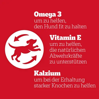 Omega 3: hilft, den Hund fit zu halten. Vitamin E: unterstützt natürliche Abwehrkräfte. Kalzium: fördert starke Knochen.