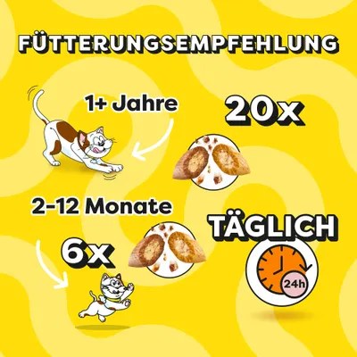 Dreamies Mix Cat Treats - Cheese & Beef