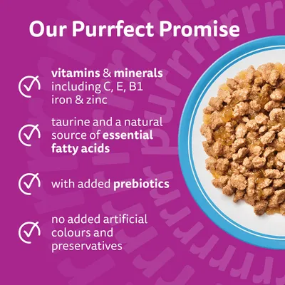 Whiskas 11+ Senior Pouches in Jelly