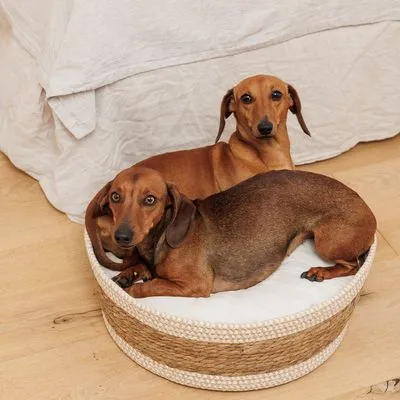 Modern Living Frontera Pat