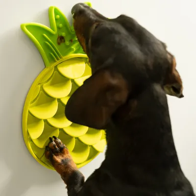 Hund slickar på en gul ananasformad slickmatta som är fäst på väggen.