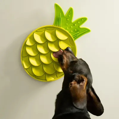 Hund slickar på en gul ananasformad slickmatta som är fäst på väggen.
