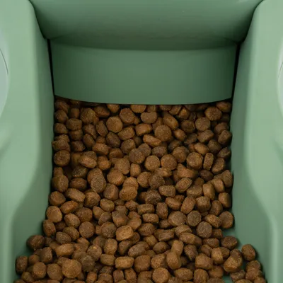 Close-up of brown dry food pieces in a green feeder.
