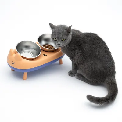 Grey cat next to an orange-blue feeding bowl with two stainless steel dishes, one filled with dry food and the other empty.