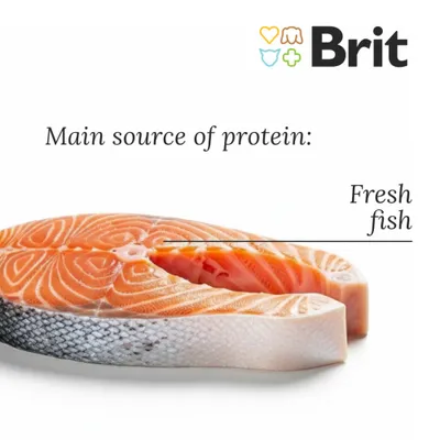 Brit Fresh Adult Large Pește cu dovleac