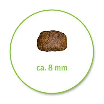 A single piece of dry food approximately 8 mm in size.
