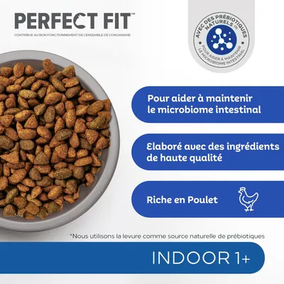 PERFECT FIT, croquettes dans une gamelle. Texte : Pour aider à maintenir le microbiome intestinal, élaboré avec des ingrédients de haute qualité, riche en poulet, INDOOR 1+.