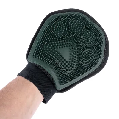 Green grooming glove with nubby texture, worn on one hand, suitable for coat care.