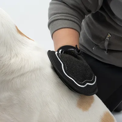Grooming glove used on a white and brown dog.