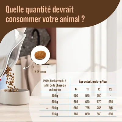 Tableau d’alimentation pour animaux selon poids final (40–70 kg) et âge (6, 11, 15, 20 mois), croquette Ø 9 mm. Exemple : 50 kg à 6 mois = 595 g/jour, à 20 mois = 650 g/jour.