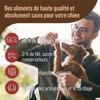 Des aliments de haute qualité et absolument sains pour votre chien : 66 % de protéines animales, 0 % de blé, sucre et conservateurs, digestion optimale, bon pour les articulations et le cartilage.