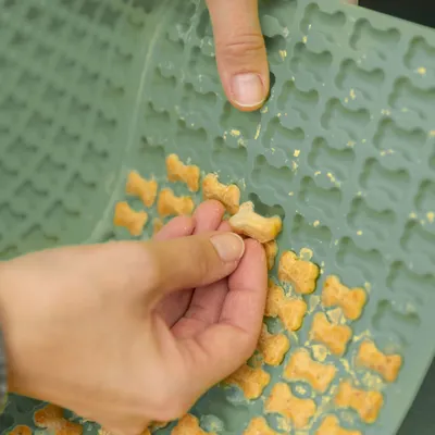 Hand entnimmt kleine Knochenförmige Leckerlis aus einer grünen Silikonform. Geeignet zur Herstellung von Haustier-Snacks.