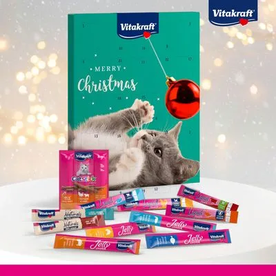 Vitakraft adventskalender met kat, tekst 'Merry Christmas', diverse Vitakraft kattensnacks in sticks en Cat Stick verpakking zichtbaar op de voorgrond.