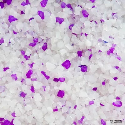 Vue rapprochée de granulés translucides blancs et violets, sans marque ni texte visible.