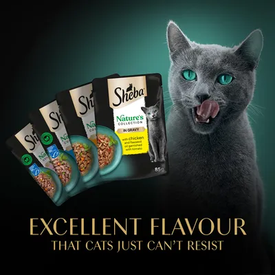Quattro buste Sheba Nature's Collection in Gravy da 85 g con pollo, olio di lino e pomodoro. Testo in inglese: Excellent flavour that cats just can’t resist. Gatto grigio a destra.