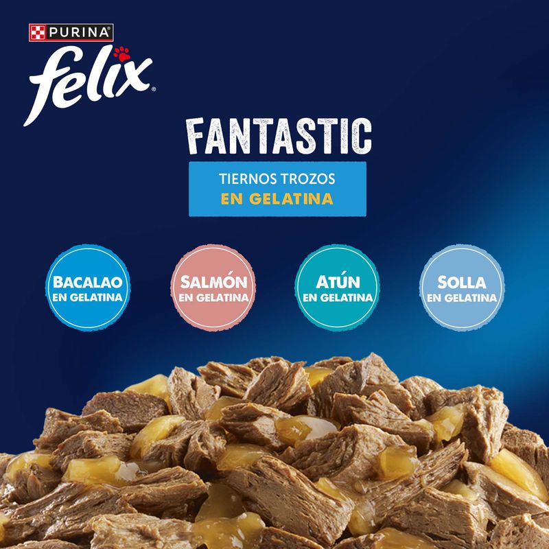 Felix Fantastic 24 x 85 g