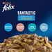 Felix Fantastic 24 x 85 g