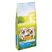 PURINA Bonzo Junior Pollo e Verdure con Latte Crocchette per cane
