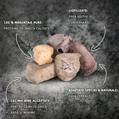Bucăți de măruntaie liofilizate, 100 % măruntaie pure, proteine de înaltă calitate, fără aditivi și conservanți, fără cereale, pentru câini de orice rasă și mărime.