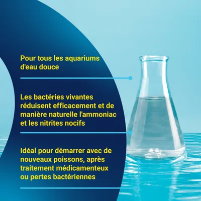 Pour aquariums d'eau douce. Des bactéries vivantes réduisent l'ammoniac et les nitrites. Idéal lors de l'introduction de nouveaux poissons, après un traitement médicamenteux ou une perte bactérienne. Pour aquariums d'eau douce. Des bactéries vivantes réduisent l'ammoniac et les nitrites. Idéal lors de l'introduction de nouveaux poissons, après un traitement médicamenteux ou une perte bactérienne.