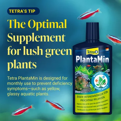Tetra PlantaMin Iron Intensive Fertiliser for magnificent plants. Monthly application recommended to prevent deficiencies such as yellow, translucent aquatic plants.