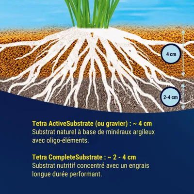 Le graphique montre les épaisseurs de couche recommandées pour les substrats d’aquarium : Tetra ActiveSubstrate env. 4 cm, Tetra CompleteSubstrate env. 2–4 cm. Le texte décrit des propriétés minérales et riches en nutriments. Le graphique montre les épaisseurs de couche recommandées pour les substrats d’aquarium : Tetra ActiveSubstrate env. 4 cm, Tetra CompleteSubstrate env. 2–4 cm. Le texte décrit des propriétés minérales et riches en nutriments.