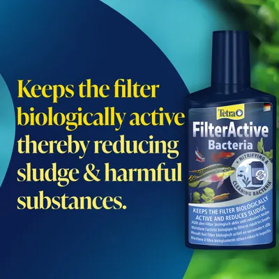 Tetra FilterActive Bacteria: Keeps the filter biologically active and reduces sludge, as well as harmful substances.
