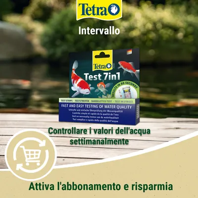 Tetra Test 7in1 strisce reattive per un rapido controllo della qualità dell'acqua. Controllate settimanalmente i valori dell'acqua. Attivate l'abbonamento e risparmiate. Tetra Test 7in1 strisce reattive per un rapido controllo della qualità dell'acqua. Controllate settimanalmente i valori dell'acqua. Attivate l'abbonamento e risparmiate.