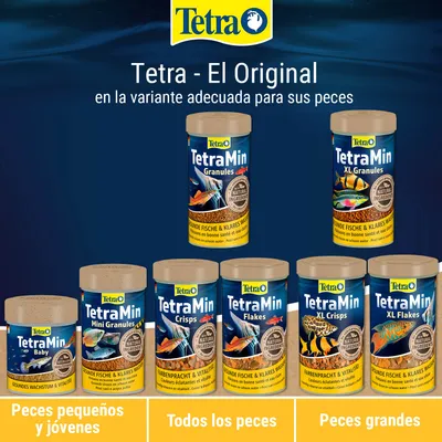 Tetra TetraMin alimento para peces en diferentes variantes: Baby, Mini gránulos, Gránulos, Crisps, Flakes, XL Crisps, XL Gránulos. Para peces pequeños, todos y grandes. Tetra TetraMin alimento para peces en diferentes variantes: Baby, Mini gránulos, Gránulos, Crisps, Flakes, XL Crisps, XL Gránulos. Para peces pequeños, todos y grandes.