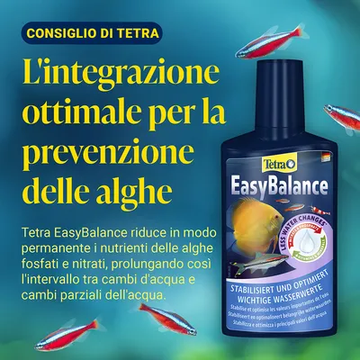 Tetra AlguMin Trattamento antialghe