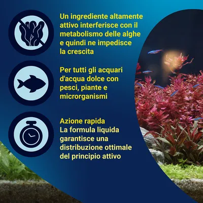 Tetra AlguMin Trattamento antialghe