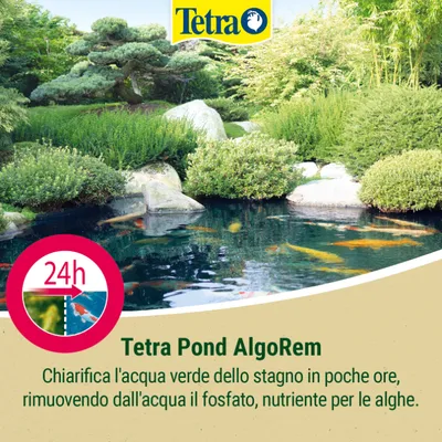 Tetra Pond AlgoRem. Chiarisce l’acqua verde del laghetto in poche ore, elimina il fosfato come nutriente per le alghe. Effetto visibile in 24 ore. Tetra Pond AlgoRem. Chiarisce l’acqua verde del laghetto in poche ore, elimina il fosfato come nutriente per le alghe. Effetto visibile in 24 ore.