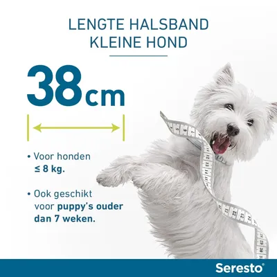 Seresto Halsband voor kleine honden, lengte 38 cm. Voor honden tot 8 kg, geschikt voor pups ouder dan 7 weken.