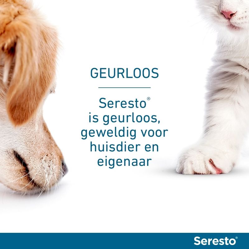 Seresto Vlooien- en Tekenhalsband voor katten